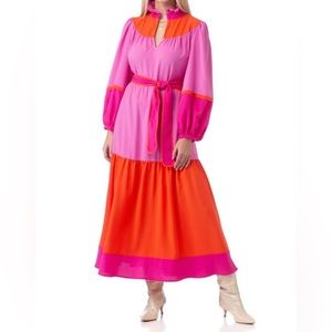 NWT Crosby by Mollie Burch Delphine Dress in Berry Colorblock
